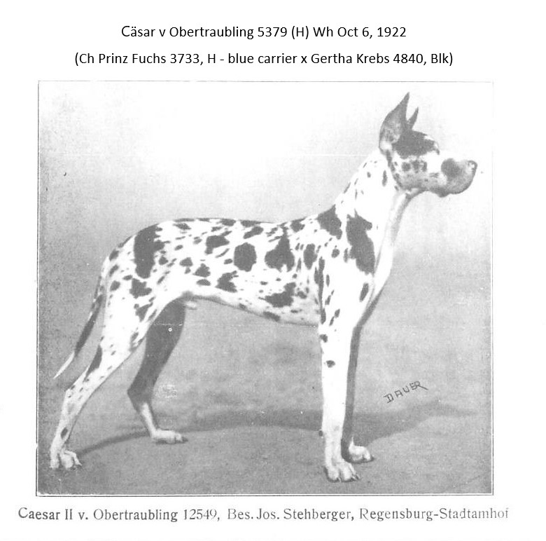 Caesar II v Obertraubling